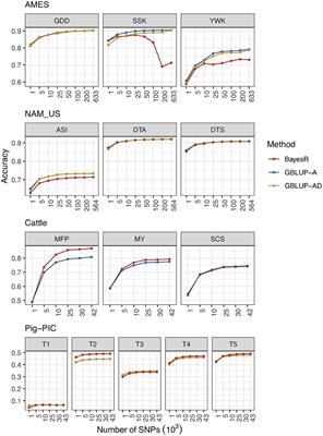 Factors Affecting the Accuracy of Genomic Selection for Agricultural Economic Traits in Maize, Cattle, and Pig Populations